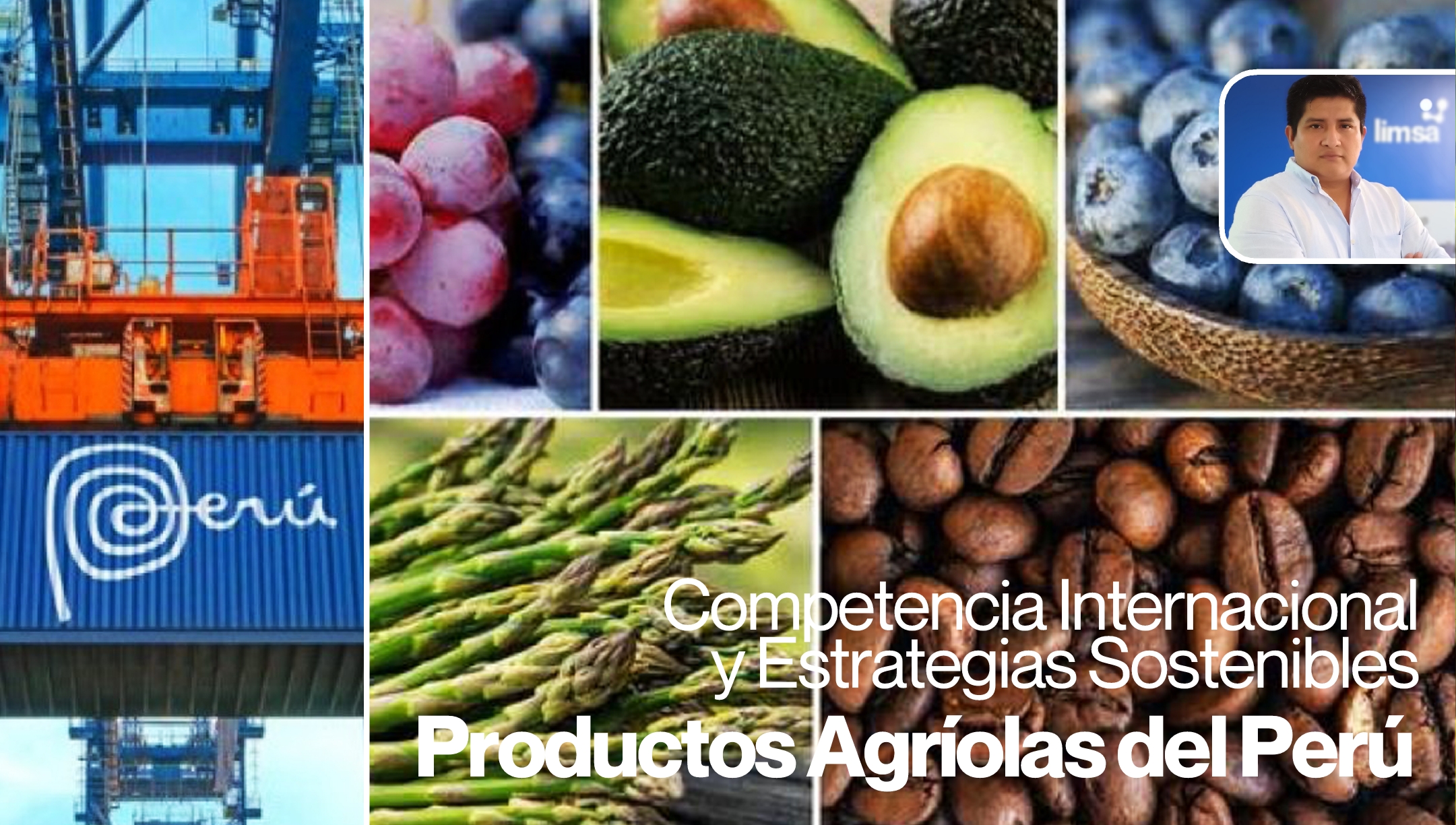 COMPETENCIA INTERNACIONAL Y ESTRATEGIAS SOSTENIBLES PARA PRODUCTOS AGRÍCOLAS DEL PERÚ